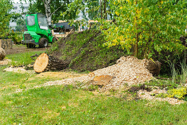 land clearing services long island
