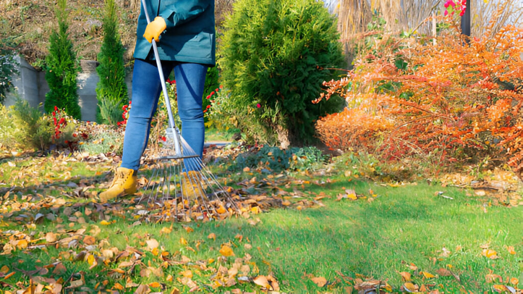 Lawn Care and Fencing