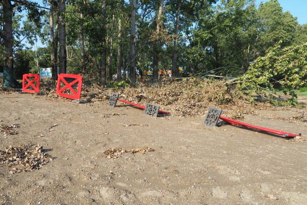 AC Landscaping Ltd.|Land Clearing Long Island New