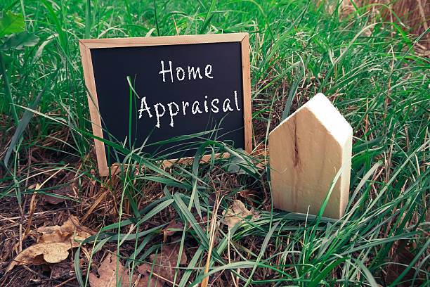 AC Landscaping Ltd.|Land Clearing Long Island New