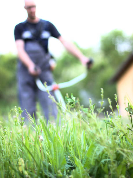 Close up of Grass brush cutter